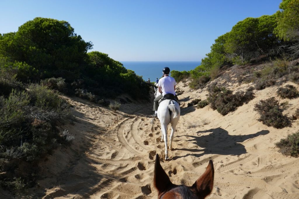 Balade à cheval en Andalousie lors d'un séjour multu=i-activités avec On se met au vert