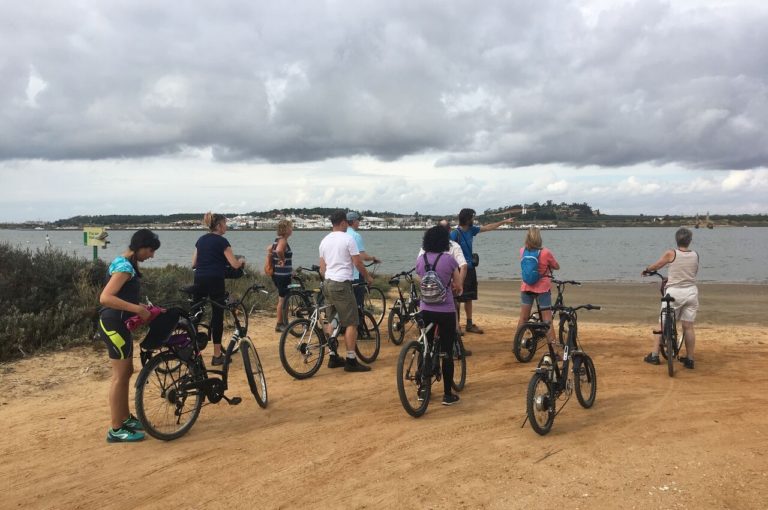 Balade en vélo lors d'un séjour multi-activités avec On se met au vert