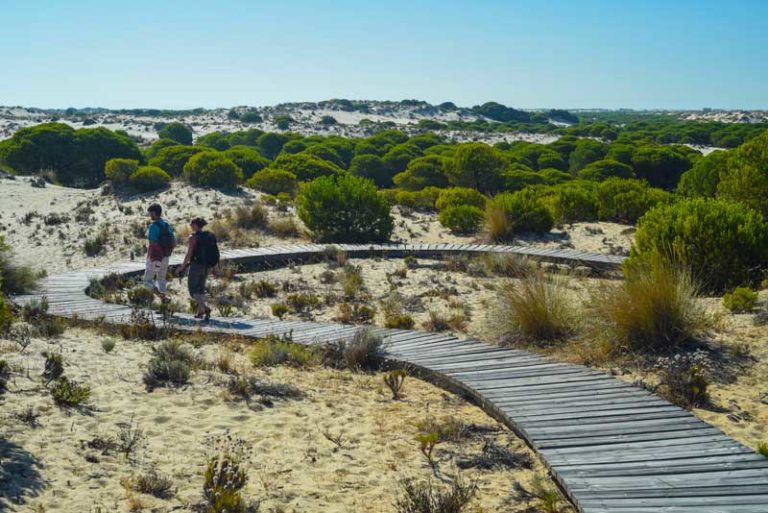 Balade dans les dunes du parc national de Donana lors d'un séjour multi-activités avec On se met au vert