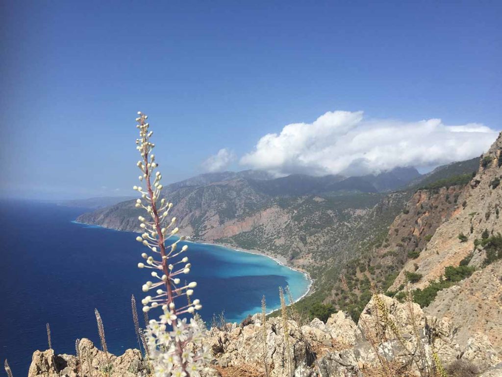 Vue sur la mer Lybienne lors d'un voyage gourmand On se met au vert en Crète